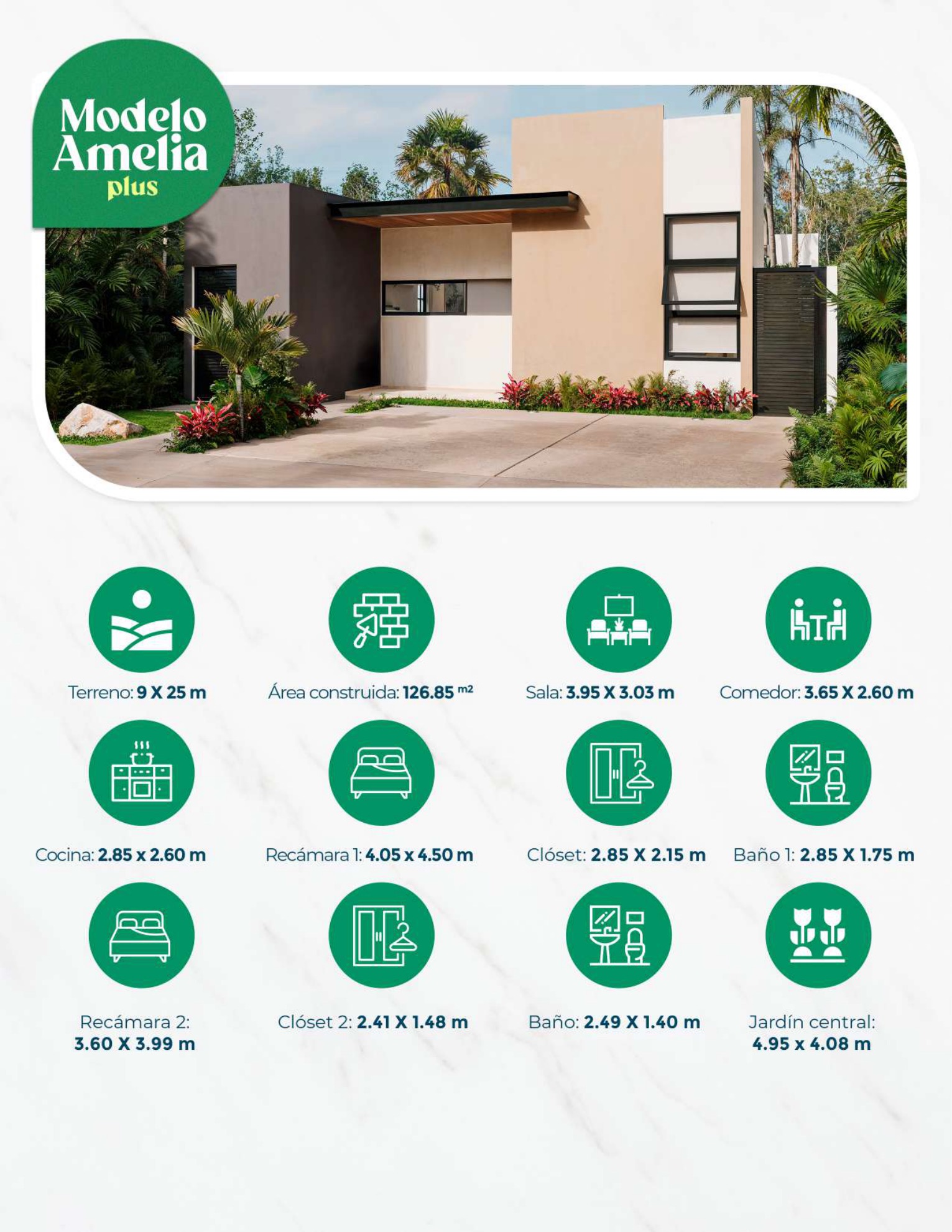 Ficha técnica Amelia Plus — dimensiones