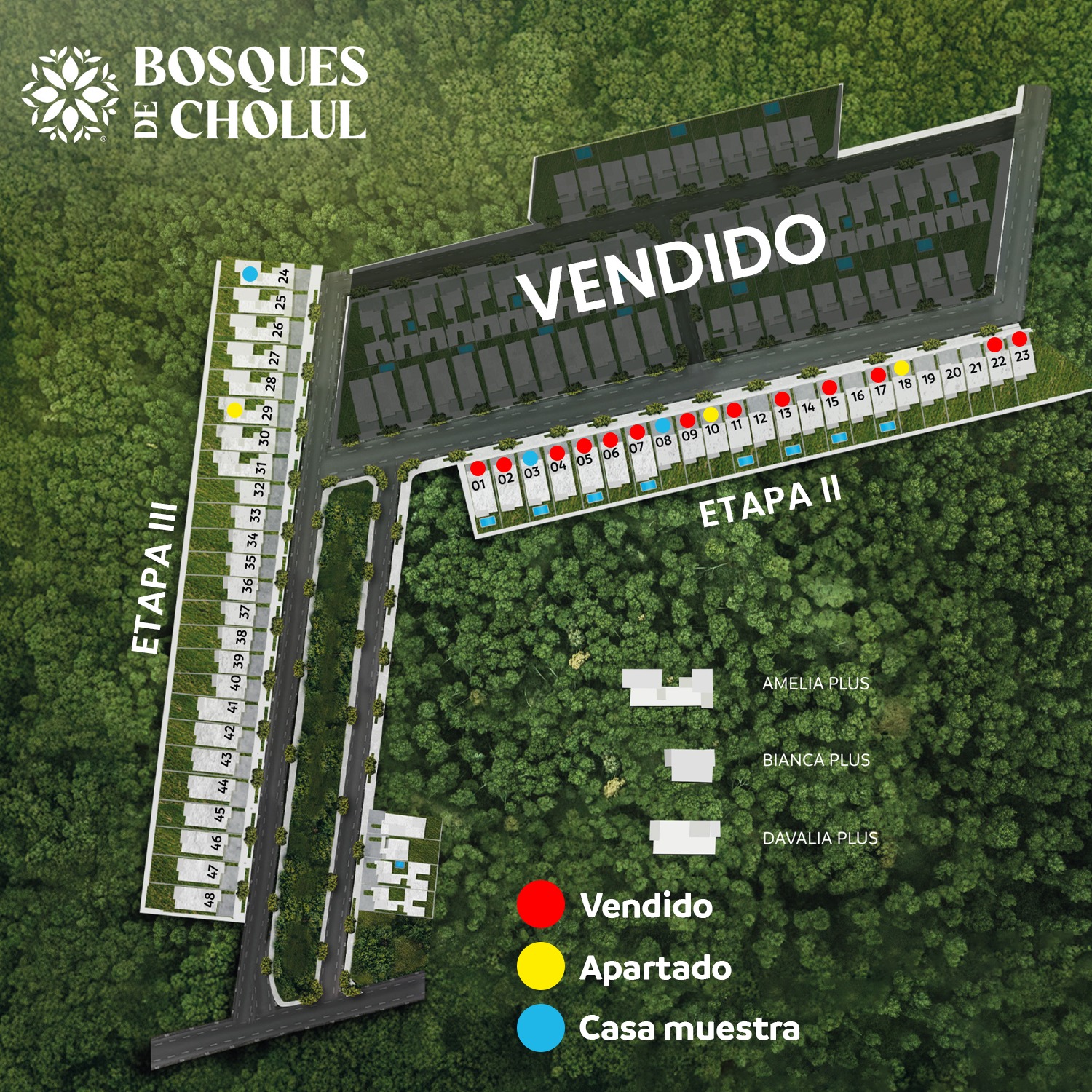Disponibilidad Bosques de Cholul
