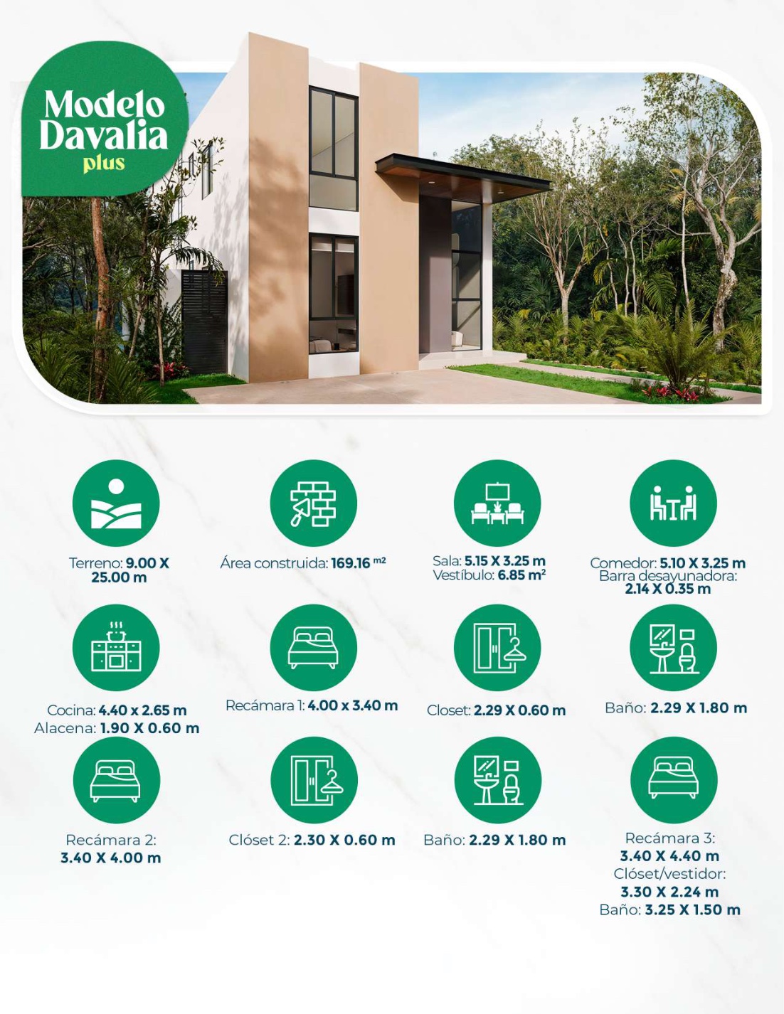 Ficha técnica Davalia Plus — dimensiones