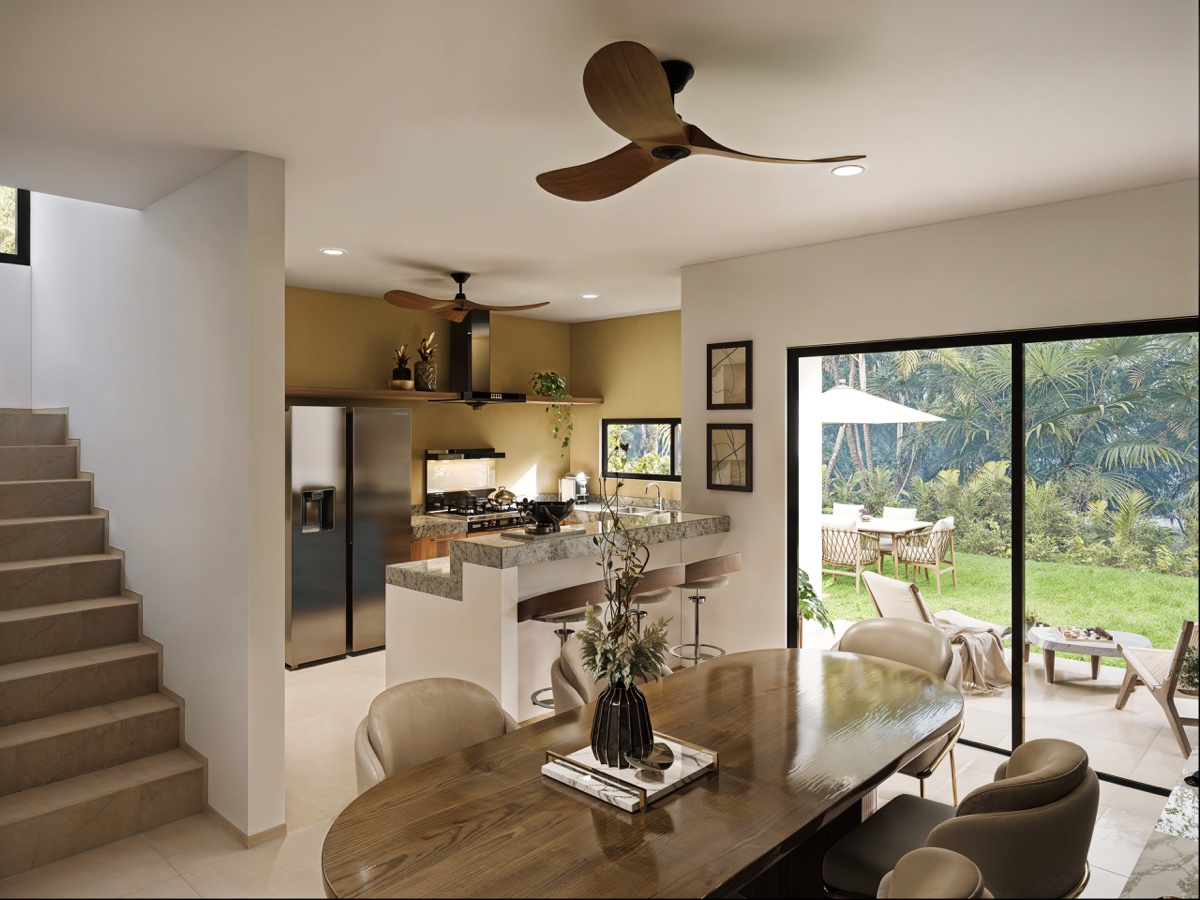 Interior Davalia Plus