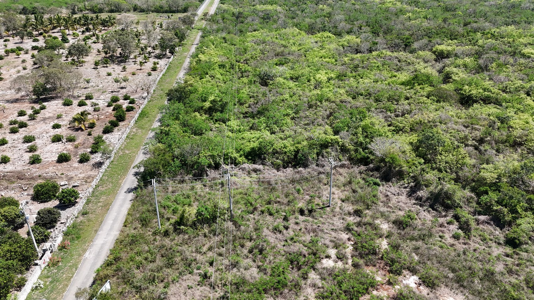 Terreno real Paseos Kiní — calle de acceso y luz de media tensión